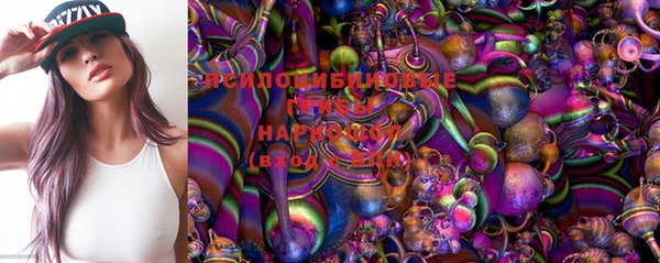 трава Богородицк