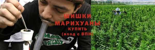 трава Богородицк