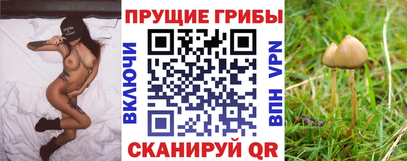 Псилоцибиновые грибы MAGIC MUSHROOMS  Купить закладки  Лабытнанги 